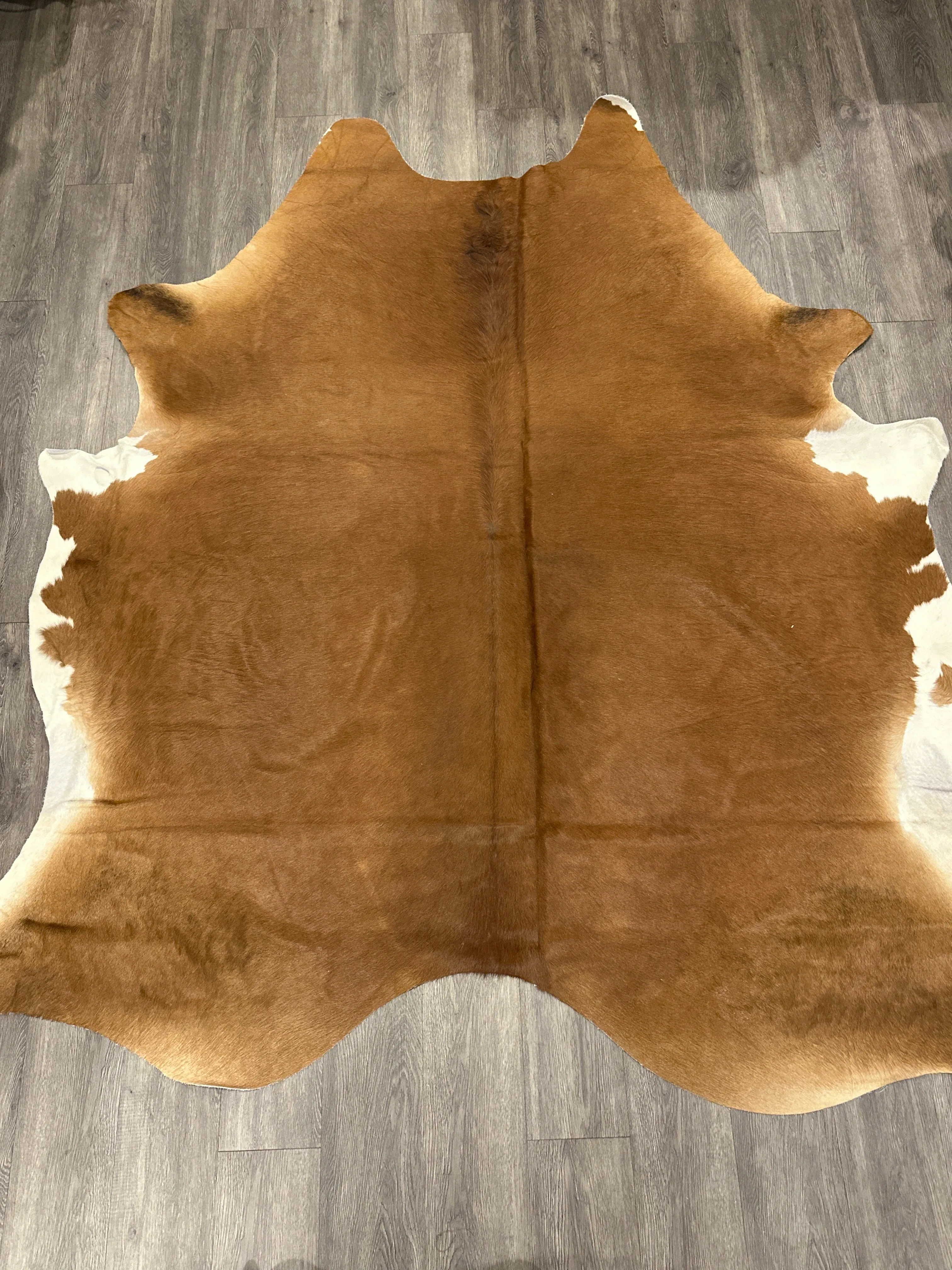 Cow Hide 02