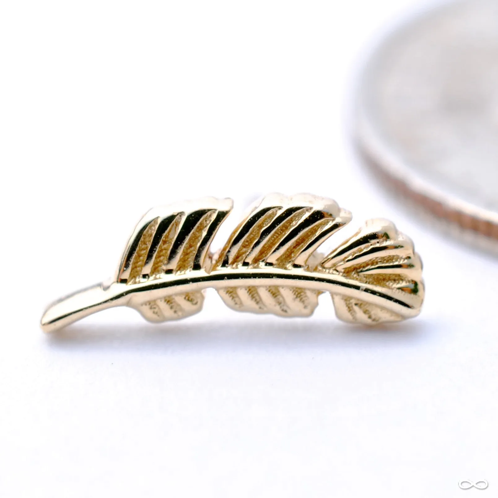 Feather Press-fit End in Gold from BVLA