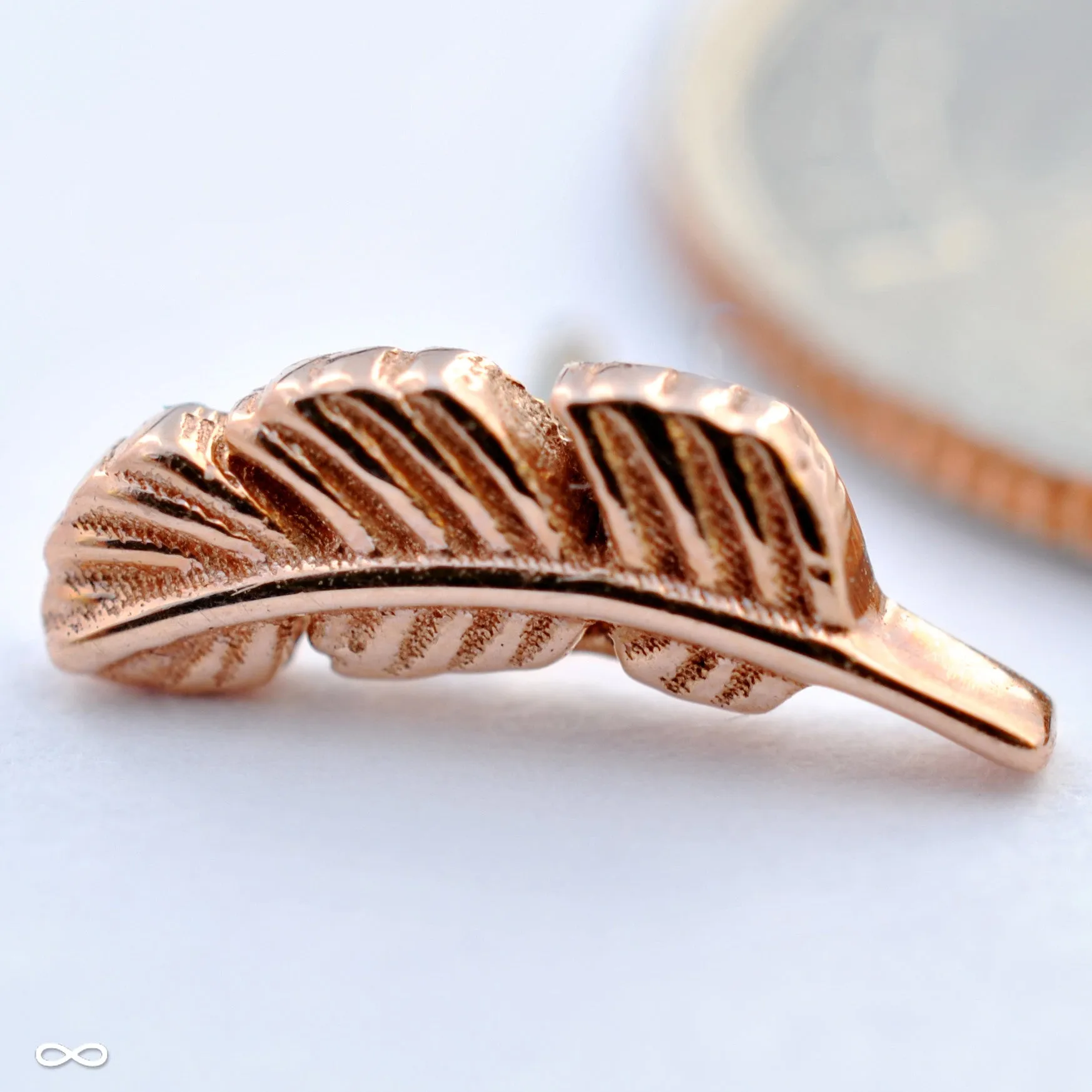 Feather Press-fit End in Gold from BVLA