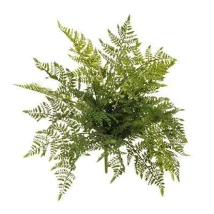 Fern Leather Bush Green 50CM Length