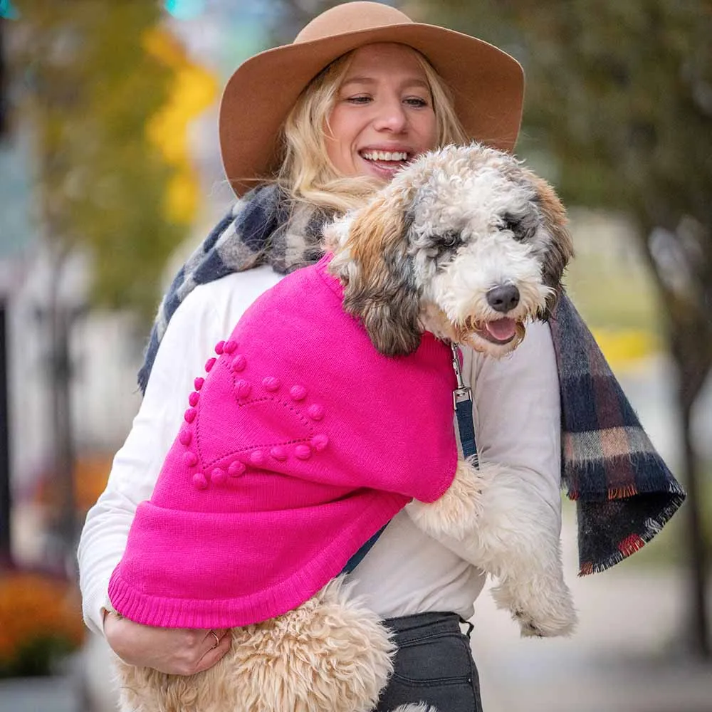 For Love of Pets - Heart Designer Dog Sweater