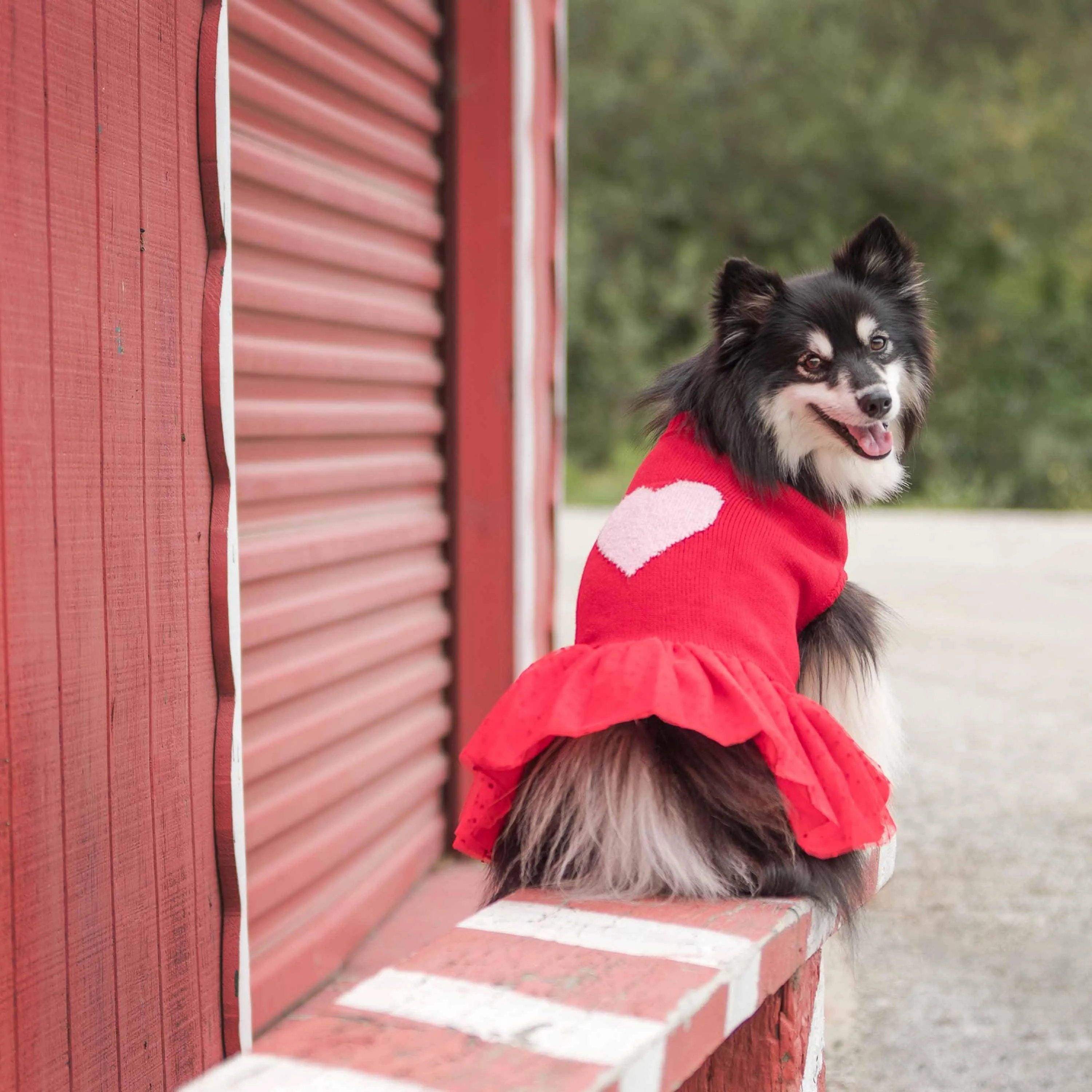 For Love of Pets - Heart Designer Dog Sweater