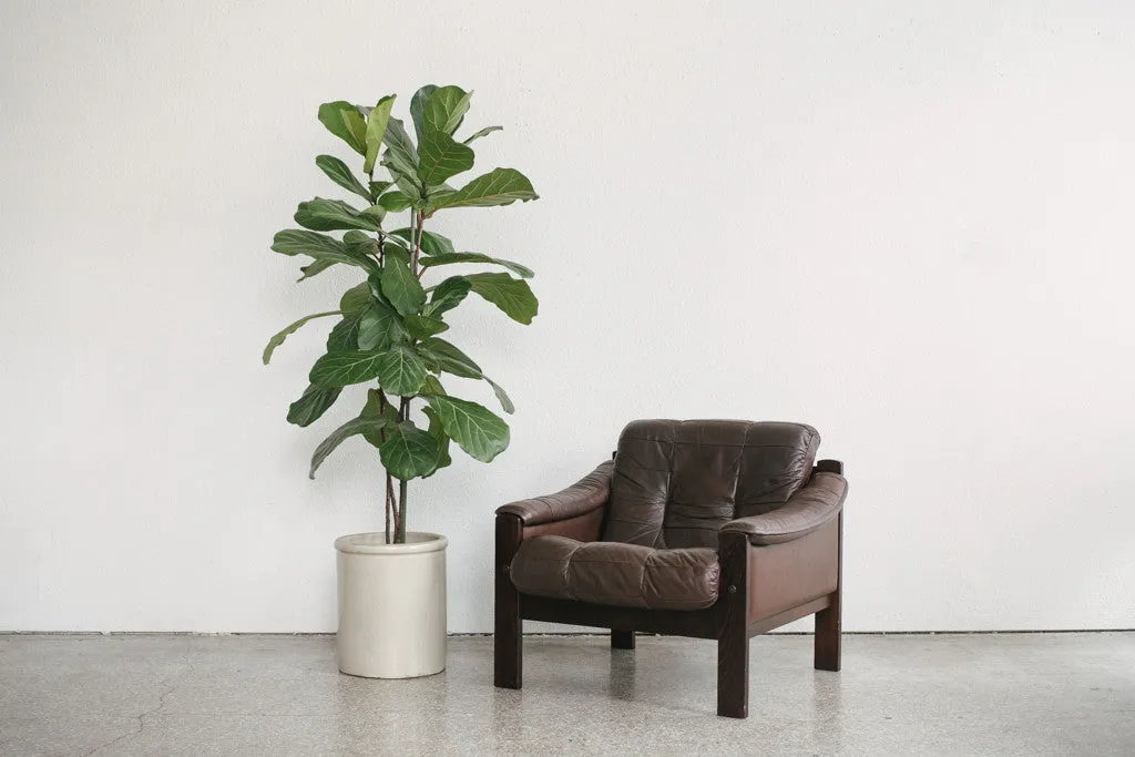 Lafer Leather Chair