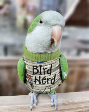 Sock Buddy Bird Sweater for Plucking Pattern