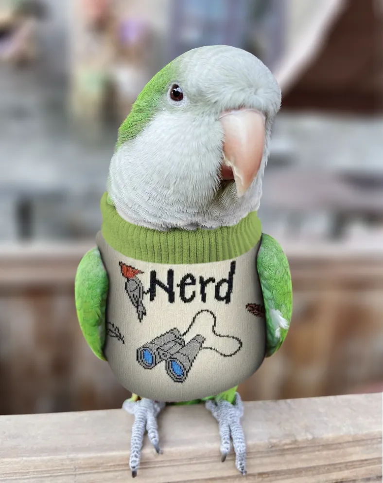 Sock Buddy Bird Sweater for Plucking Pattern