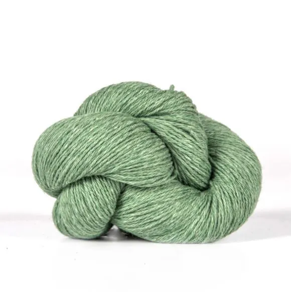 Xyris Kit Size 4-5 (Lichen 03)